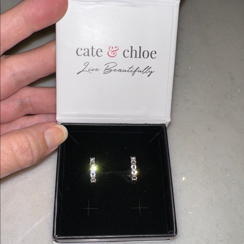 Cate & Chloe Silver Earrings